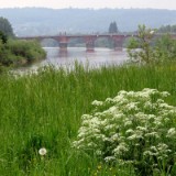 1805F 029 Mosel nach Trier